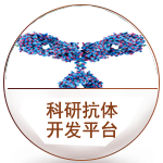 ���п���ƽ̨