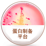 �����Ʊ�ƽ̨