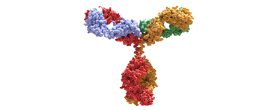 �ڲο��壨�ܱ���