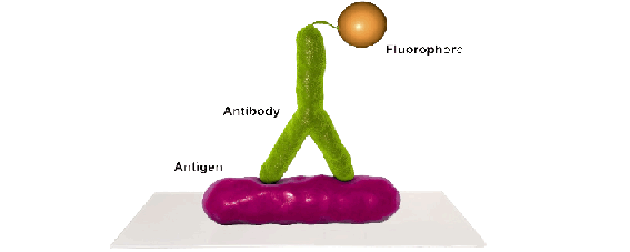 ���ö������ܱ���